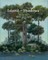 Island of Shadows