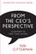 From the CEO's Perspective