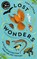 Lost Wonders