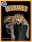 The Amazing World of Leopards Booklet with Activities ages 4-8