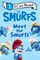 Smurfs: Meet the Smurfs