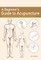 A Beginner's Guide to Acupuncture