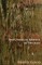 The Complete Absence of Twilight