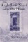 Anglo-Irish Novel and the Big House