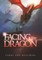 Facing The Dragon