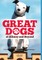Great Dogs of Albany and Beyond