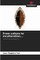 From culture to inculturation...