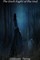 The Dark Night Of The Soul