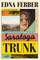 Saratoga Trunk