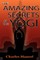 The Amazing Secrets of the Yogi