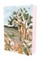 Jane Eyre (Painted Editions)