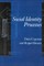 Social Identity Processes