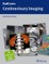 Genitourinary Imaging