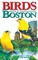 Birds of Boston