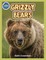 Grizzly Bear Activity Workbook ages 4-8