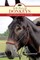 The Book of Donkeys