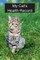My Cat's Health Records