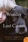 Trout, N: Wonder of Lost Causes