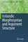 Icelandic Morphosyntax and Argument Structure