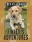 Finley's Adventures