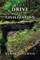 The Drive of Civilization