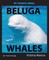 My Favorite Animal