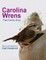 Carolina Wrens