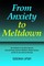 From Anxiety to Meltdown