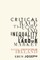 Critical Race Theory and Inequality in the Labour Market