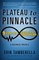 Plateau to Pinnacle
