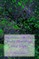The Cleanse Me From Head to Foot Prayer