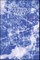 Issues in Evolutionary Ethics