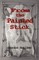 From the Painted Stick