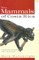 The Mammals of Costa Rica