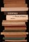 Essentials of the Theory of Fiction