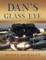 Dan's Glass Eye