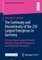 The Continuity and Discontinuity of the 250 Largest Enterprises in Germany