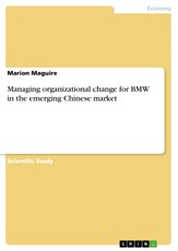 Managing organizational change for BMW in the emerging Chinese market