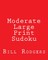 Moderate Large Print Sudoku