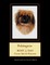 Pekingese