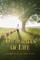 The Crates of Life