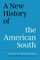 A New History of the American South