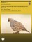 Landbird Monitoring in the Chihuahuan Desert Network