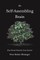 The Self-Assembling Brain