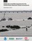 Global Sea Level Rise Scenarios for the United States national Climate Assessment