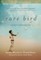 Rare Bird