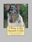 I Want A Pet Smooth Collie
