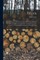 Sylva; or, A Discourse of Forest-trees, and the Propagation of Timber in His Majesties Dominions. As it was Deliver'd in the Royal Society, the XVth of October, CI)I)CLXII ... To Which is Annexed, Pomona; or, An Appendix Concerning Fruit-trees in Relation