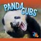 Panda Cubs