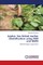 Jojoba- Sex linked marker identification using ISSR and RAPD